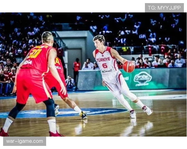 申京季后赛闪耀全场，展现全面实力引领球队前行