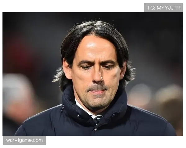 意甲多支球队积极引进归化球员，新星助力联赛竞争升级