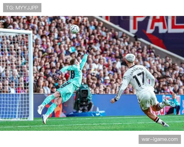 水晶宫进攻火力全开,屡造破门良机表现抢眼 水晶宫进攻火力全开,屡造破门良机表现抢眼