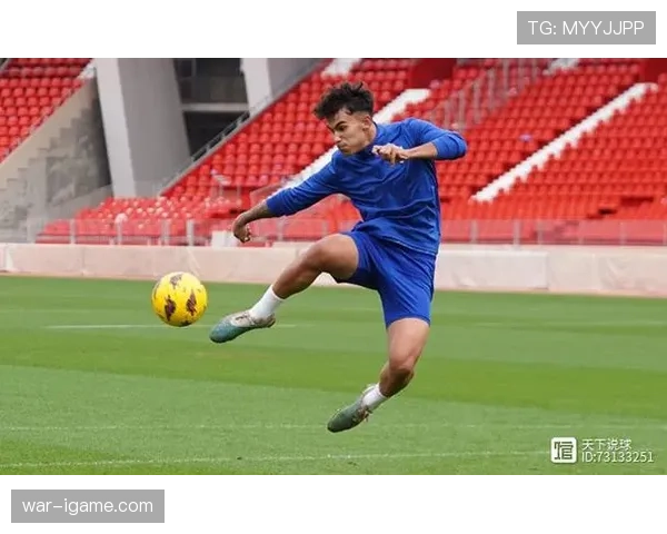 奥萨苏纳新赛季状态稳步提升，表现令人期待