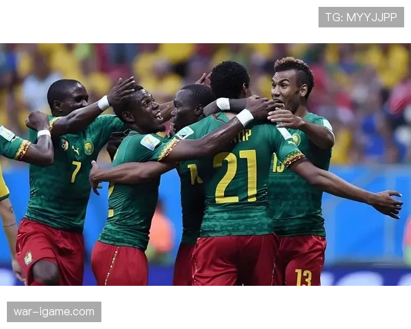 赞比亚足球队重温2012年非洲杯夺冠辉煌，书写国家足球历史新篇章